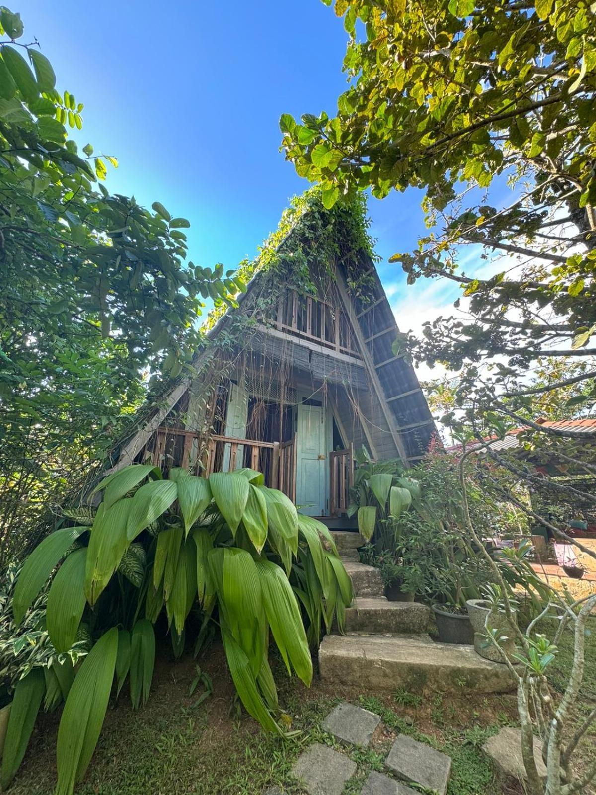Villa Ovita Talpe Exterior photo