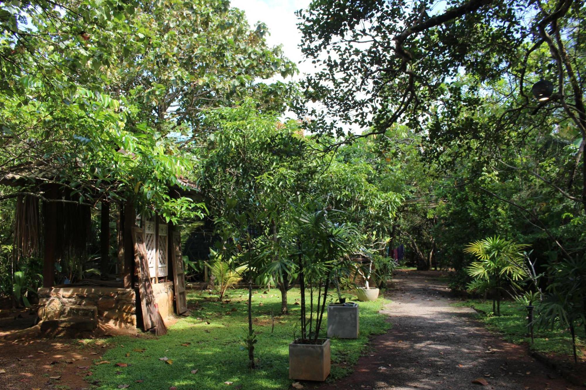 Villa Ovita Talpe Exterior photo